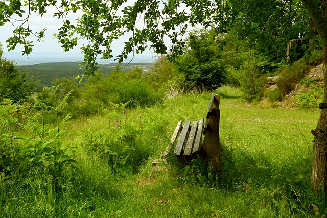 认识到该赛 认识到该赛