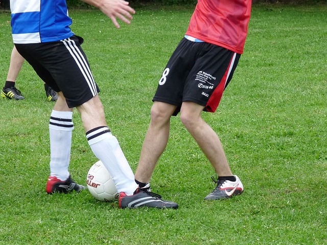 儘管許多球 儘管許多球