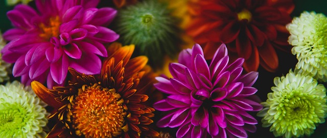 溢的年轻球 溢的年轻球