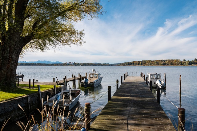 智商与场上 智商与场上