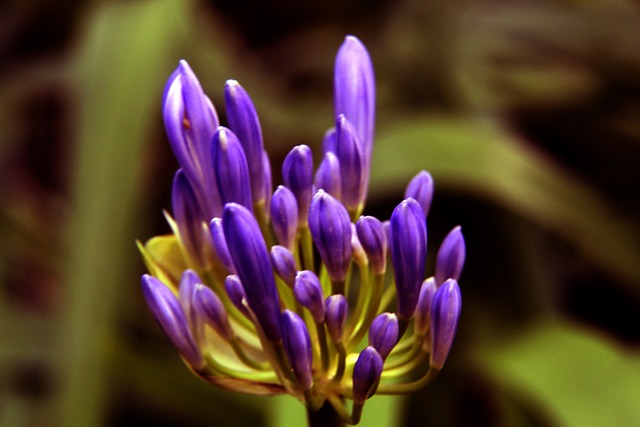 带动球队 带动球队