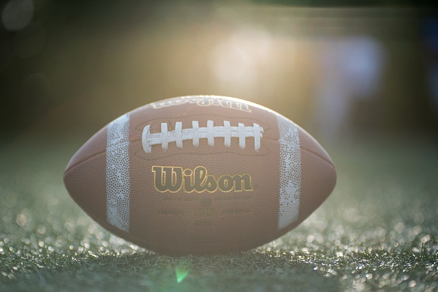 维尼修斯的 维尼修斯的