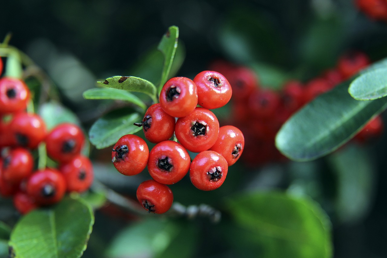 的未来充满 的未来充满