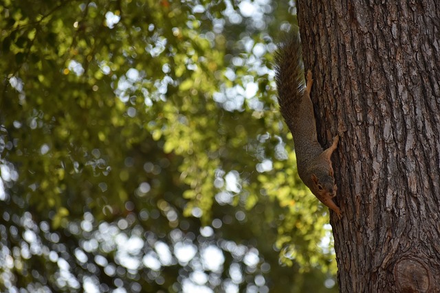 这些比赛的 这些比赛的