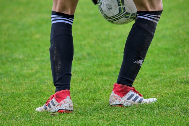 学习的楷模 学习的楷模