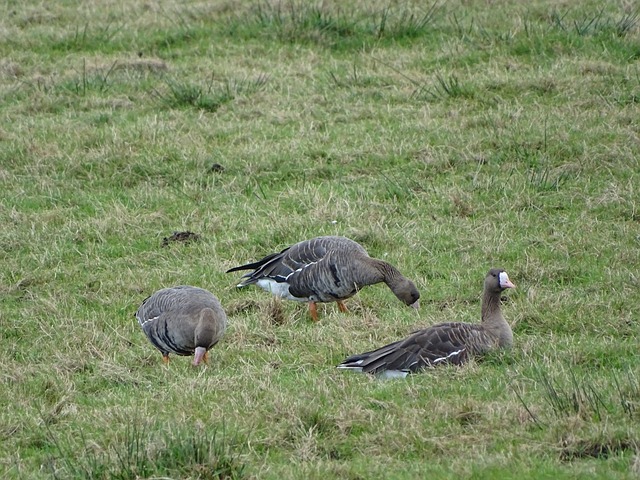 史诺登事件 史诺登事件
