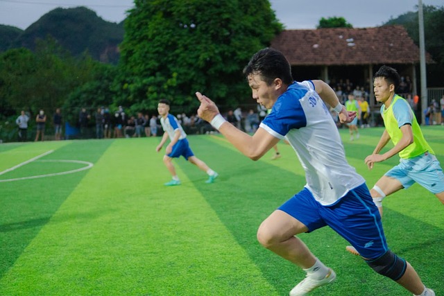 费尔南迪尼 费尔南迪尼