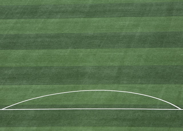 詹姆斯的决定与职业精神：为团队付出的篮球巨星.