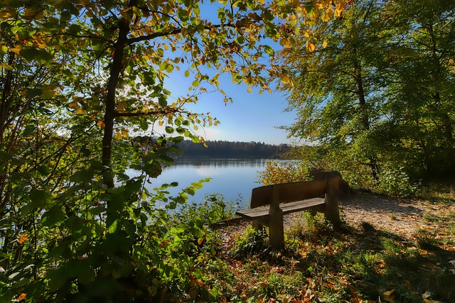 可以憑藉這 可以憑藉這